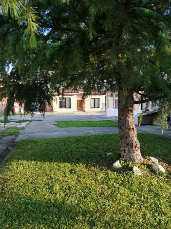 Apartman Studio Katarina Golubac Eksteriør bilde